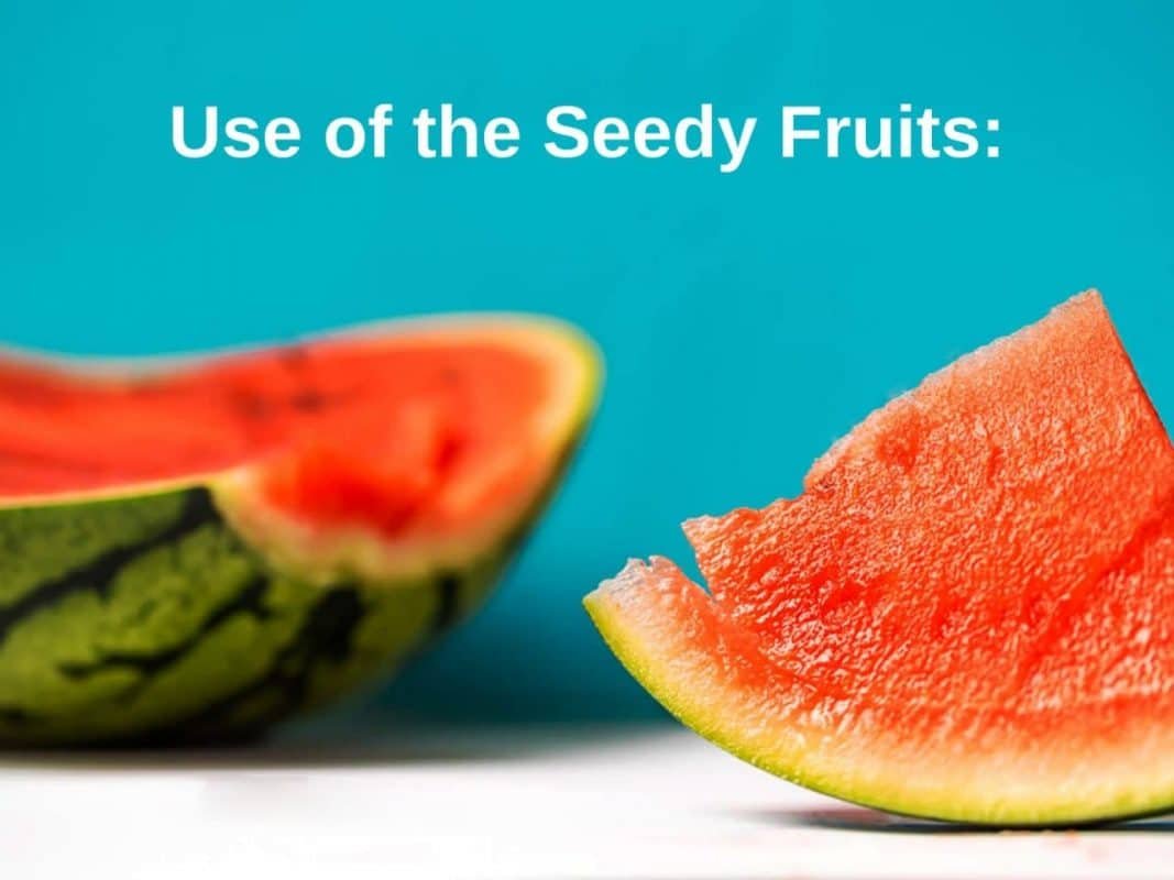 use of seedy fruits