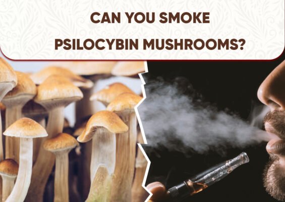 Can You Smoke Psilocybin Mushrooms