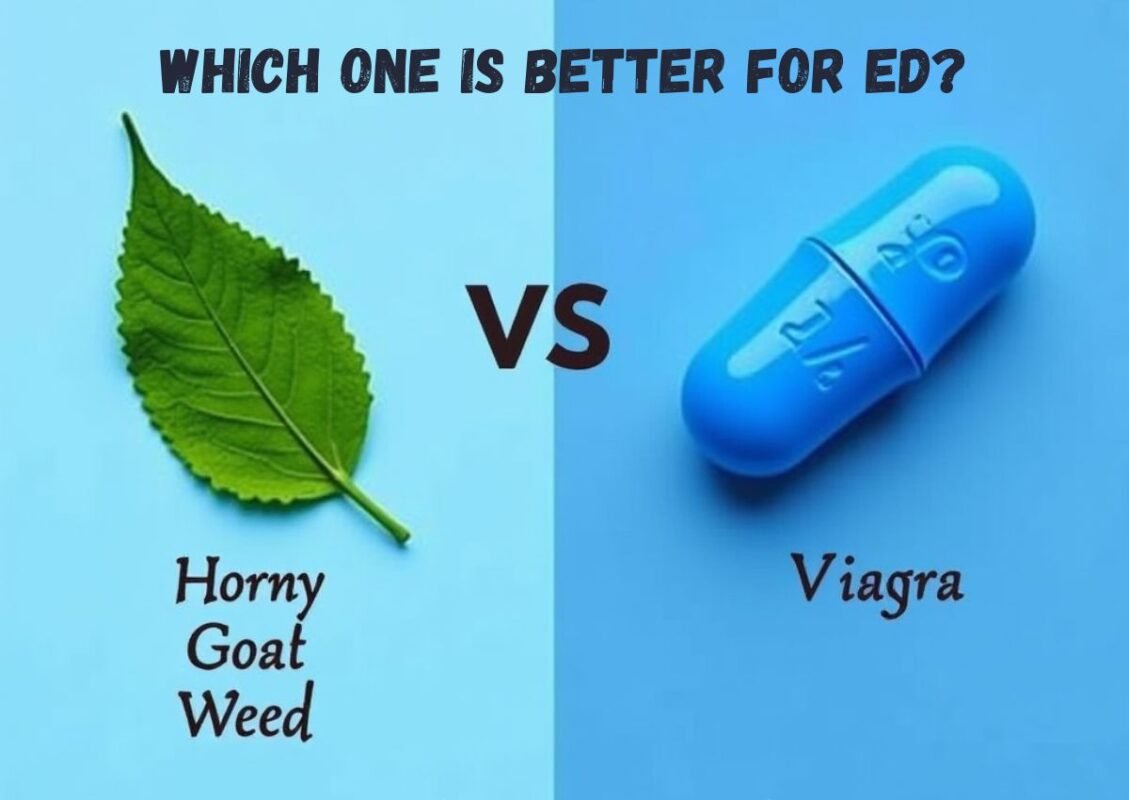 Horny goat weed vs Viagra Which One Is Better For ED