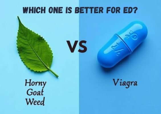Horny goat weed vs Viagra Which One Is Better For ED